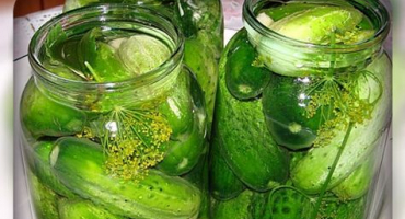 Recept na správné solení okurek ve sklenicích na zimu, aby neexplodovaly